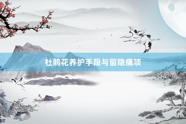 杜鹃花养护手段与留隐痛项
