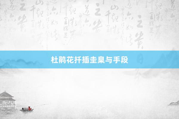 杜鹃花扦插圭臬与手段
