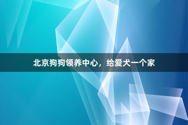 北京狗狗领养中心，给爱犬一个家