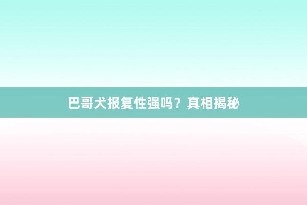 巴哥犬报复性强吗？真相揭秘