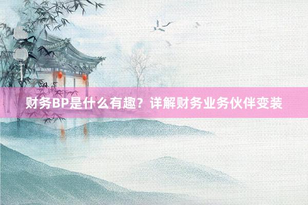 财务BP是什么有趣？详解财务业务伙伴变装
