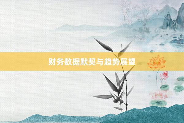 财务数据默契与趋势展望